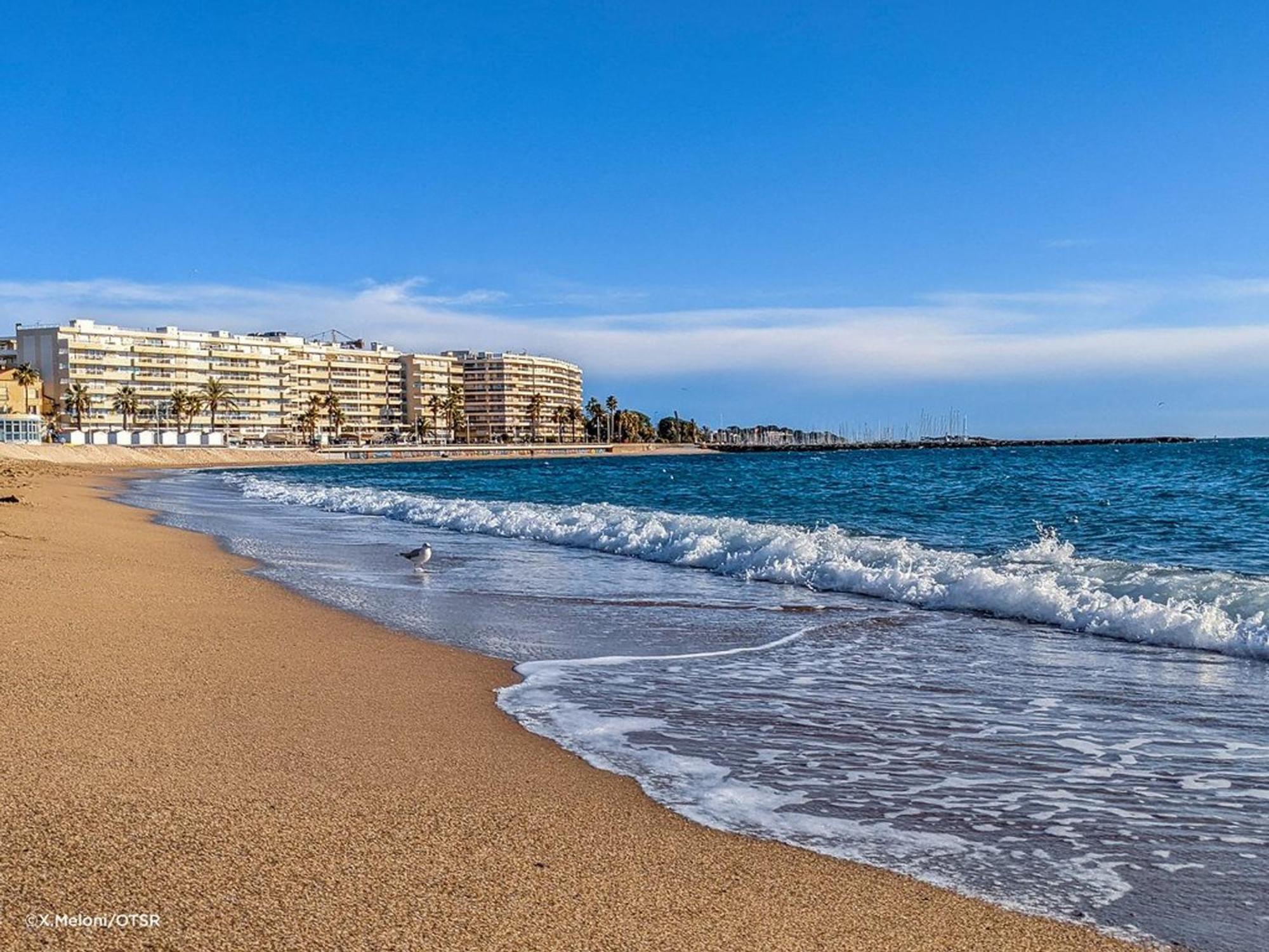 Appartement 2P, 4 Couchages, Terrasse Et Salon De Jardin A 200M De La Plage, Frejus - Fr-1-226A-22 エクステリア 写真